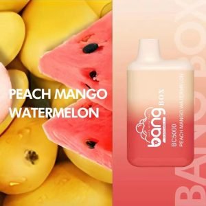 Bang BC5000 Box Disposable Vape Wholesale