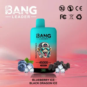 Bang Leader 45K Puffs Disposable Vape Wholesale – Dual Flavors Switch & LED Display EU Warehouse