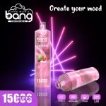 Bang Shisha 15000 Puffs Disposable Vape Wholesale