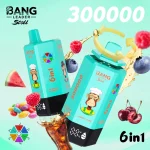 Multi Flavor Disposable Vape: Bang Leader Stoll 300K 300000 Puffs 6 in 1 Adjust Vape with LED Display, Zero to 5% Nic & Fruity/Icy Flavors