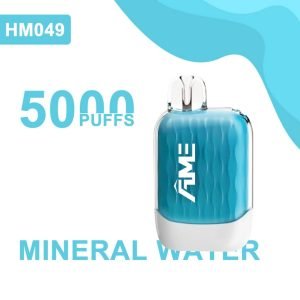 HM049- Disposable Vape 5000  Blueberry