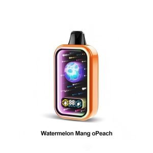 HM095 Thc Disposable Vape 35000 Puffs Dual Mesh
