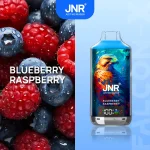 JNR Falcon X 18000 Puffs Disposable Vape | 18k Puff Smart Vape with Screen, 2% Nicotine Salt, Dual Mesh Coil, EU Stock Fast Shipping