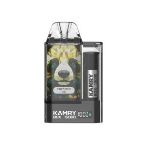 Kamry Box 15000 Puffs Disposable Vape Wholesale