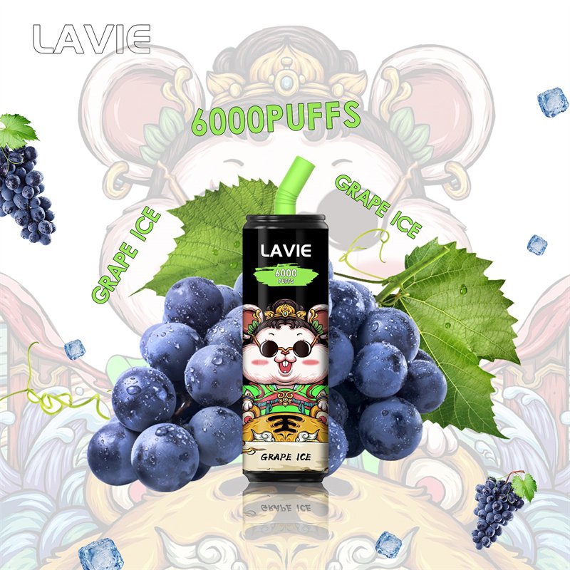 Lavie 6000 Puffs Disposable Vapes Wholesale - Image 11
