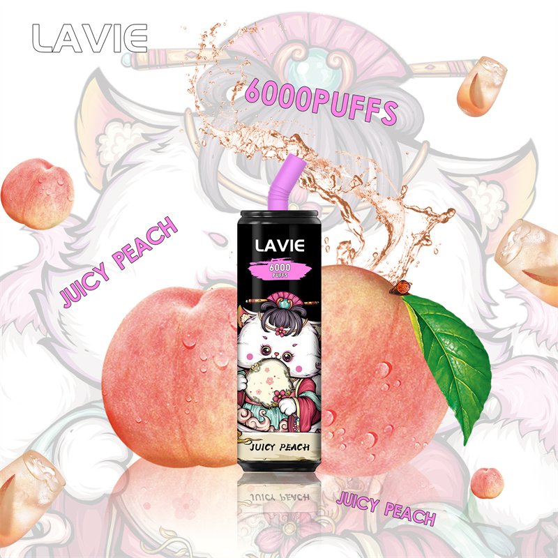 Lavie 6000 Puffs Disposable Vapes Wholesale - Image 10