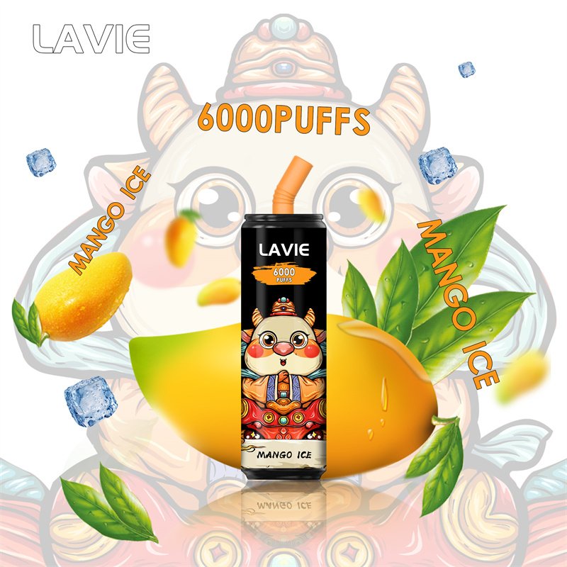 Lavie 6000 Puffs Disposable Vapes Wholesale - Image 9