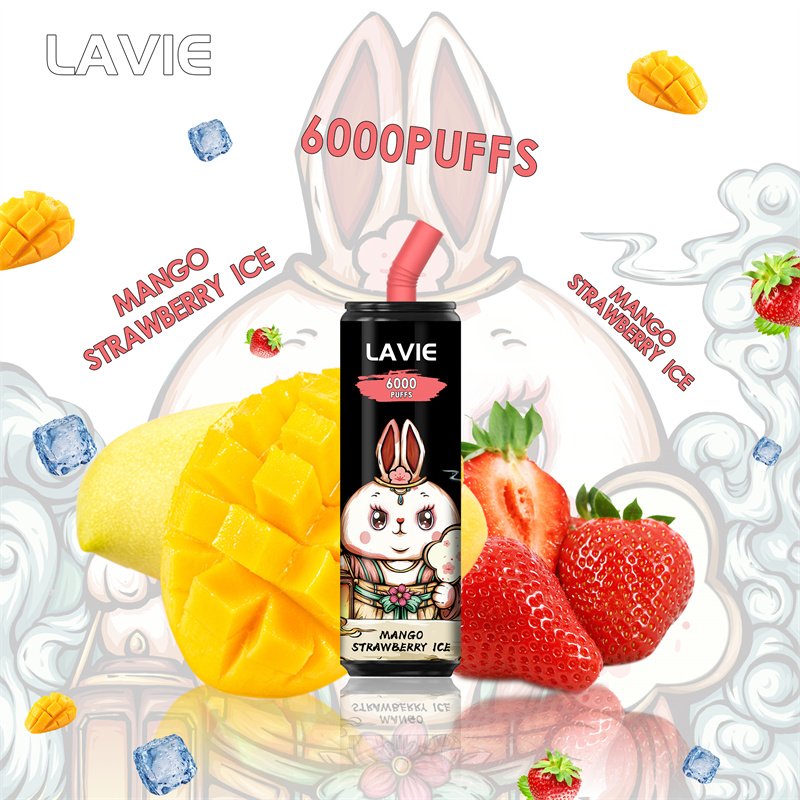 Lavie 6000 Puffs Disposable Vapes Wholesale - Image 8