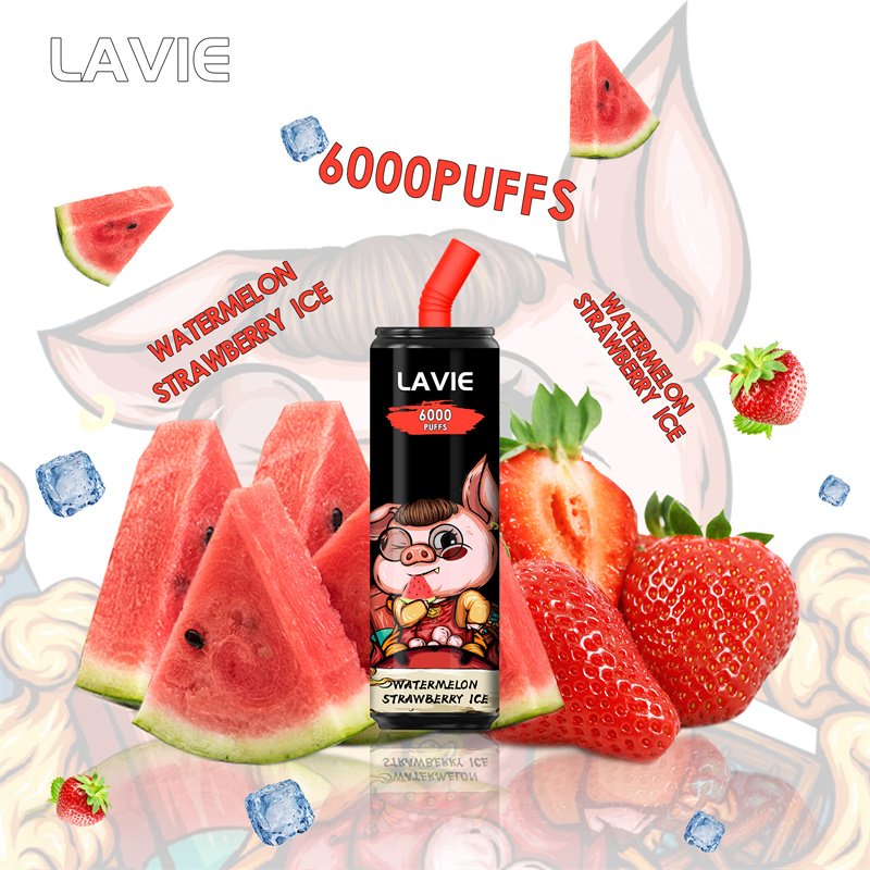 Lavie 6000 Puffs Disposable Vapes Wholesale - Image 6