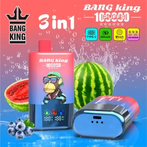 Bang King 100K Big Puff Multi Flavor Disposable Vape | Longest Lating 3 In 1 Vape with Triple Pods, LED Screen, 0/2/3/5% Nicotine Salt