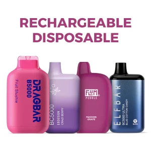 Rechargeable Disposable Vape
