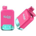 Vapsolo Twins 20000 Puffs Disposable Vape Wholesale