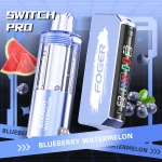 Blueberry Watermelon Foger Switch Pro Kit 30K Puffs