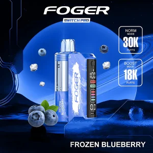 Buy Frozen Blueberry – Foger Switch Pro Kit 30K Puffs
