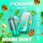Buy Miami Mint – Foger Bit 35K Puffs Online