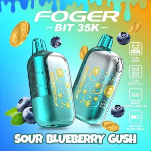 Buy Sour Blueberry Gush – Foger Bit 35K Puffs