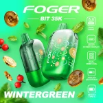 Buy WinterGreen – Foger Bit 35K Puffs