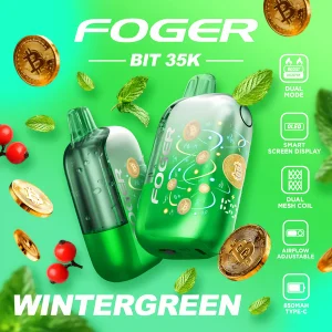 Buy WinterGreen – Foger Bit 35K Puffs