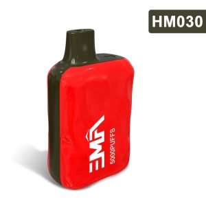 Box-style  Disposable Vape 450mAh 5000puffs-HM030
