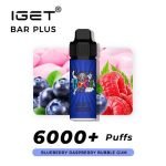 Blueberry Raspberry Bubble Gum – BAR Plus