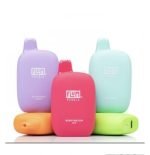 Flum Pebble Rechargeable Disposable 6000 Puffs