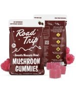 AMANITA MUSCARIA MUSHROOM GUMMIES – RASPBERRY