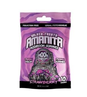 STRAWBERRY AMANITA MUSHROOM GUMMIES