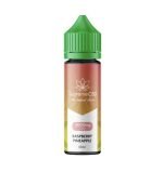 Raspberry Pineapple E-Liquid 60ml (3000mg)