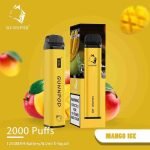 Mango Ice-2000 Puffs