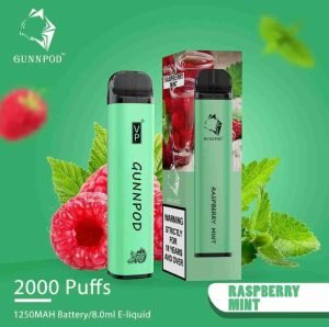 Raspberry Mint-2000 Puffs