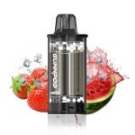 Strawberry Watermelon Ice – MOSS – POD ONLY