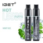 Mint Ice – HOT